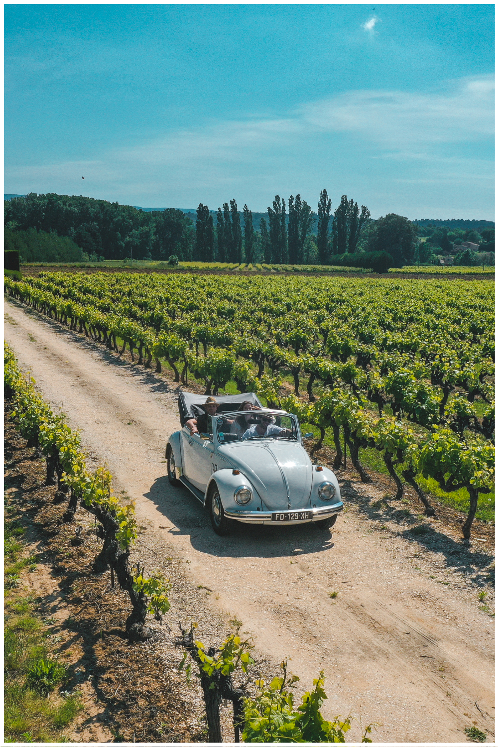 vignobles en voitures vintage en Provence