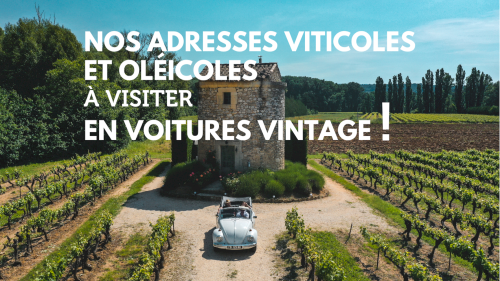 Nuestras direcciones vitivinícolas y olivícolas para visitar en coches de época