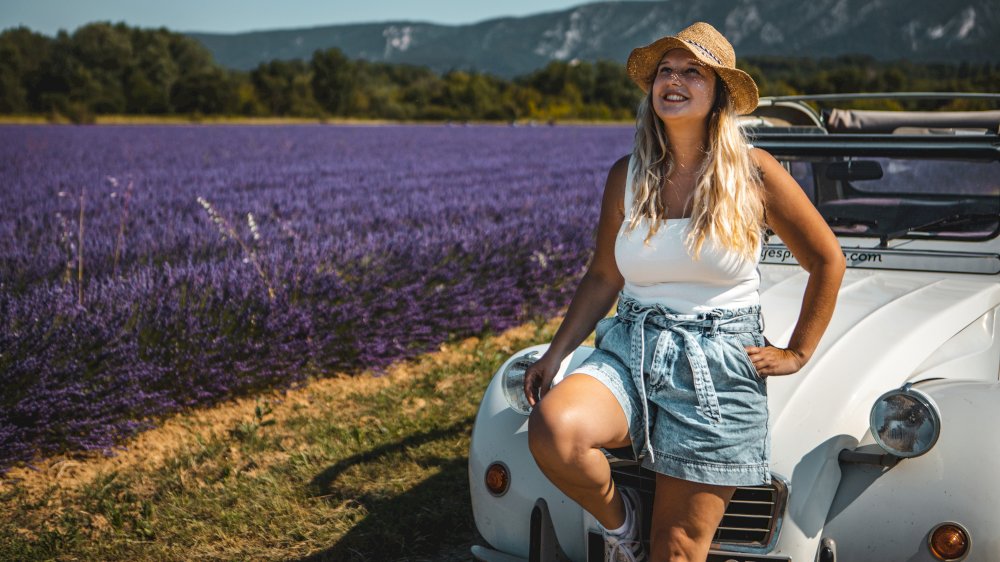 A travers les paysages de Provence