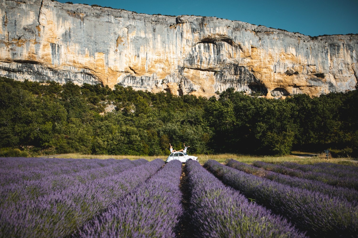 2CV en Provence dans un champ de lavande avec Yes Provence