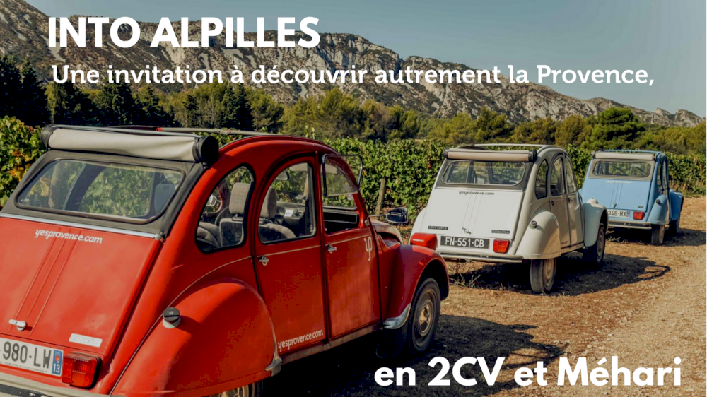 Into Alpilles : Invitation to discover Provence differently