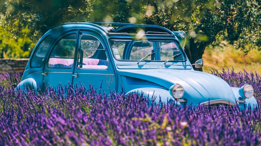 Mary Quincy à testé la 2cv et la Méhari pour vous ! Mary Quincy à testé la 2cv et la Méhari pour vous !