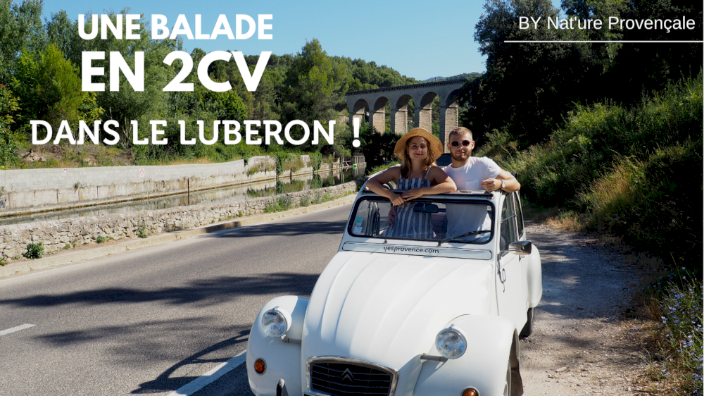 Nat'ure Provençale has tested the 2cv for you in our beautiful Provence