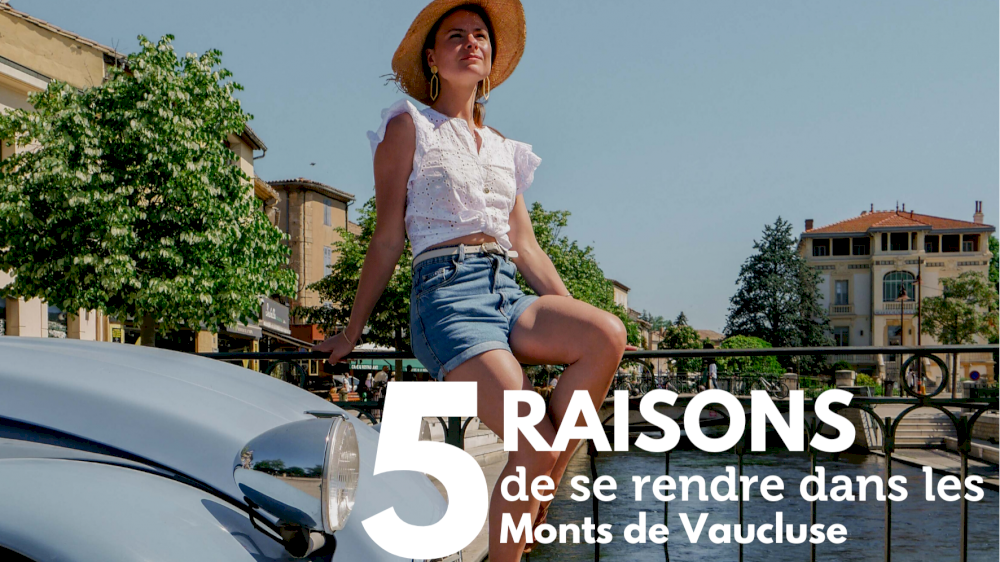 5 raisons de se rendre dans les Monts de Vaucluse