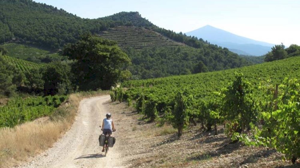 Escapade loisirs et activités en Provence avec la location de Méhari en Provence Escapade loisirs et activités en Provence avec la location de Méhari en Provence