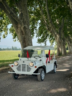 Méhari Eden Electrique