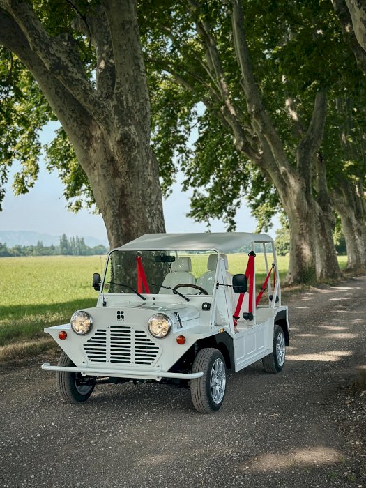 Méhari Eden Electrique