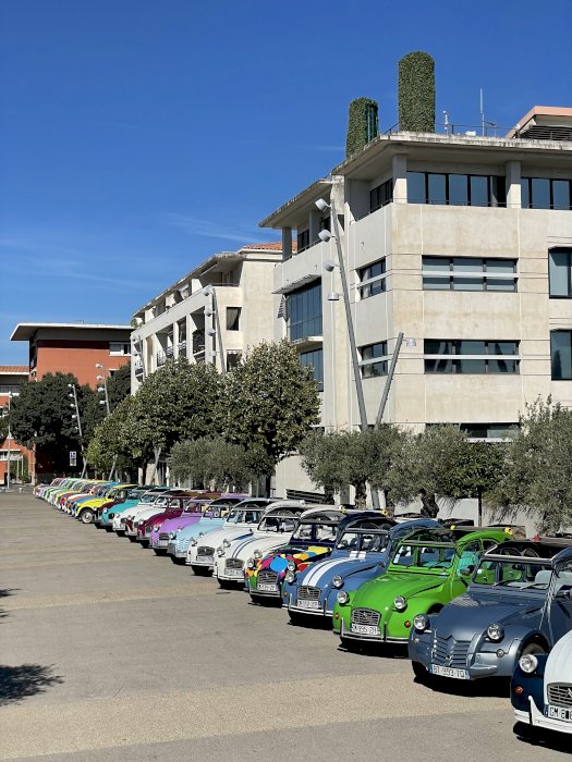 Happiness in a Beetle