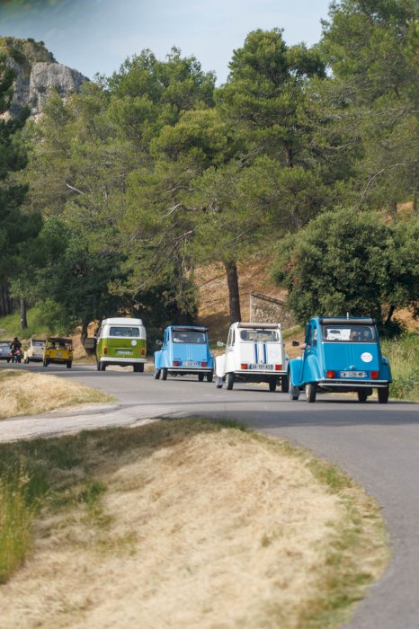 Happiness in a Beetle