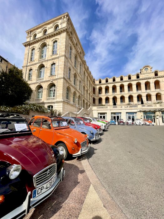 Happiness in a Beetle