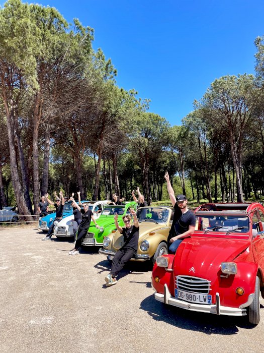 Happiness in a Beetle