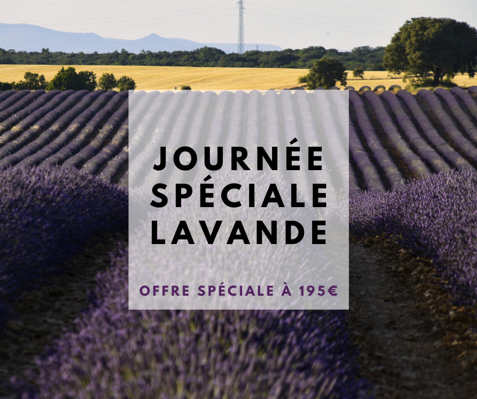 Journée spéciale LAVANDE : EN FORMULE TOUT INCLUS ! Journée spéciale LAVANDE : EN FORMULE TOUT INCLUS !