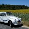 2CV Bond